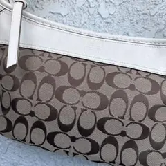 希少色☆COACHコーチ シグネチャー アクセサリーポーチ（ブルー） y2k