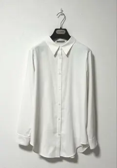 セオリーリュクス BACK SATIN GGT SUNNY ブラウス とろみのサムネイル