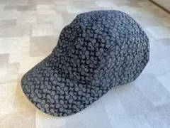 Item thumbnail for item a60fd083-99b5-4b7d-a874-2b33f0f6ad4c