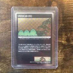 Item thumbnail for item 41bee9bd-1592-42ad-afe7-e73d0c68c870