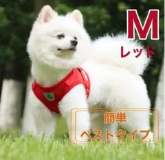 Item thumbnail for item b5aa19e3-d15e-45cd-985a-3efa9b08bc5b