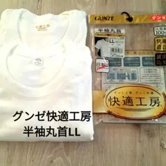 最終価格です。新品未使用 グンゼ快適工房半袖丸首LL　2枚