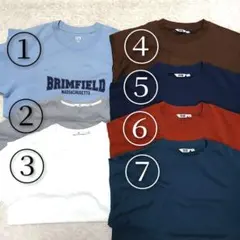 ①ブリムフィールド・マサチューセッツ Tシャツ Ｌ ライトブルー