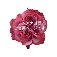 ご専用ページです