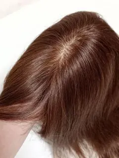 Item thumbnail for item 733d909e-91e5-4671-ad49-f11806a4b217