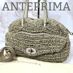 【極美品】 ANTEPRIMA ラージ ワイヤーバッグ ターンロック 2wayのサムネイル