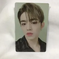 SEVENTEEN エスクプス トレカ An Ode Real