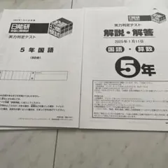 2026年最新】日能研 模試 5年生の人気アイテム - メルカリ