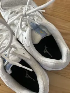 Item thumbnail for item a8338c03-129f-46da-9df7-8ad201f9038b