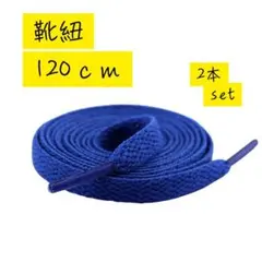 靴紐2本 スニーカー ブルー シューレース 平紐 靴ひも 120cm