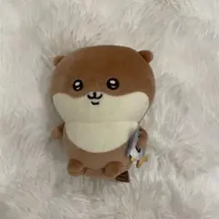 ナガノのカワウソ ぬいぐるみくじ D賞 マスコットのサムネイル