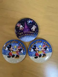 香港ディズニー 20周年記念 ピンバッジ2個セット - メルカリ