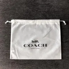 COACH 不織布ショップ袋　約30×24cm