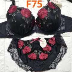 【新品未使用】格安！ブラショーツセット F75 16579 黒 フェミニン