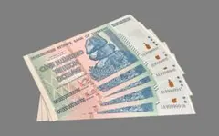 ジンバブエドル 100兆 折り目なし AA 美品 ジンバブエ 100兆 ジンバブエ・ドル 未使用 【証明書付】 : 東京