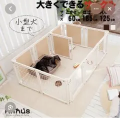 2026年最新】Kiinusの人気アイテム - メルカリ