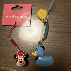 東京ディズニーリゾート ミニーマウス ダック キーホルダーセット