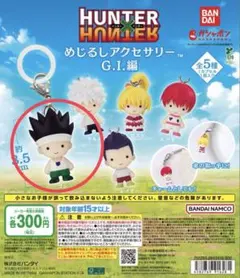 HUNTER×HUNTER めじるしアクセサリー G.I.編 ゴン