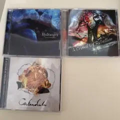 歌い手　りぶ　CD、特典まとめ売り りぶ 特典CD - メルカリ