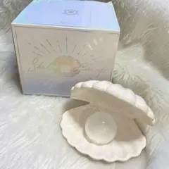 ⭐️即購入可能‼️　Francfranc 　フランフラン　貝殻　置物