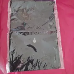 IPSA 特製バッグ 非売品