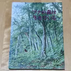 【まとめ割可】希少 ブナの森は生きている 甲斐信枝 福音館書店 1996年発行