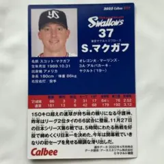 プロ野球チップスカード ヤクルト スコット・マクガフ 投手のサムネイル