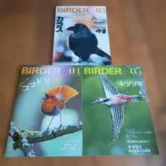 BIRDER 1996年4月号 近畿探鳥地案内 バードウォッチング BIRDER 1996年 1月 3月 4月 6月 4冊セット - メルカリ