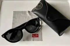 Ray-Ban RB4261D ラウンドシェイプ アジアンフットモデル