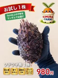 2026年最新】蘇轍の人気アイテム - メルカリ
