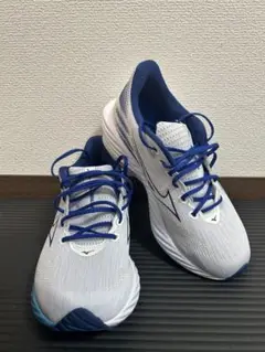 mizuno ウェーブライダー28