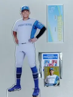 田中正義 田宮裕涼 ジャンボ アクスタ 非売品 ファイターズ 日ハム】田中正義&田宮裕涼【ジャンボアクスタ】 - メルカリ