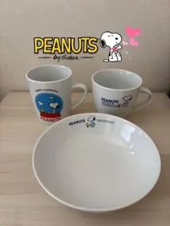 スヌーピーマグカップ・皿 3点セット