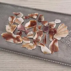 Item thumbnail for item ce1cf1cc-c2e6-4c2a-b9db-e0351e2800dd