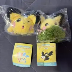 ポケモン 韓国限定 30周年記念 ミラースマートトック ヘアピン