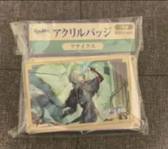 アナイクス アクリル缶バッジ