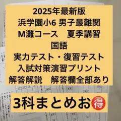 2026年最新】浜学園 復習テストの人気アイテム - メルカリ