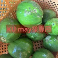 KU may様専用