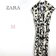 Item thumbnail for item 10499786-ac13-4536-b20a-089ff5fee04f