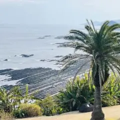 きなこ様 リクエスト 4点 まとめ商品