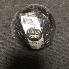 いきもの大図鑑 かぶとむし02 カプセルトイ 未使用品