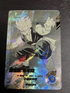 apt-009 孫悟飯　パラレル　ドラゴンボール　アドバンスパック　40周年