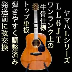 牛骨】YAMAHA☆ヤマハ！LJ6！A.R.E【弾き易く調整☆新品の弦】 - メルカリ