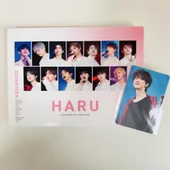 2026年最新】seventeen haru blu-rayの人気アイテム - メルカリ