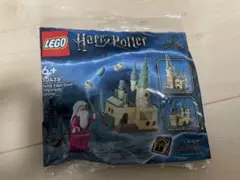 ⭐︎ LEGO Harry Potter 30435 ホグワーツ城 ⭐︎