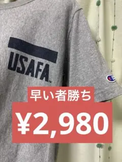 Champion USAFA グレー Tシャツ 80年代製