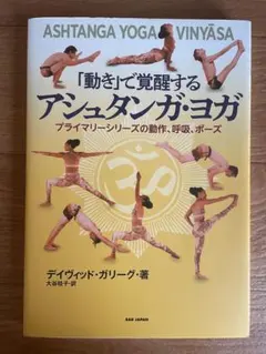 アシュタンガ・ヨガ・ヴィンヤーサ