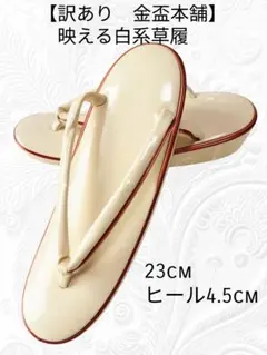 Item thumbnail for item f5d8b756-cba1-4400-bbc8-6207fb7493c8