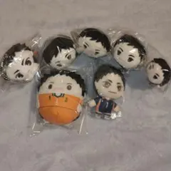 澤村大地　ハイキュー!!　ぬいぐるみまとめ売り