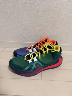 NIKE ZOOM FREAK1 ズームフリーク1 マルチカラー